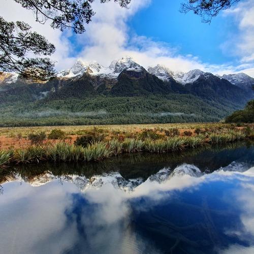 Photo #3817366