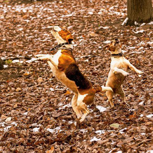 Photo #3817397