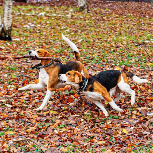 Photo #3817400