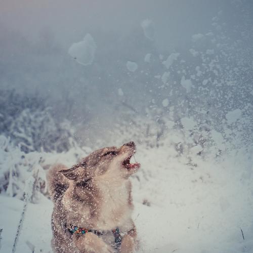 Photo #3817932