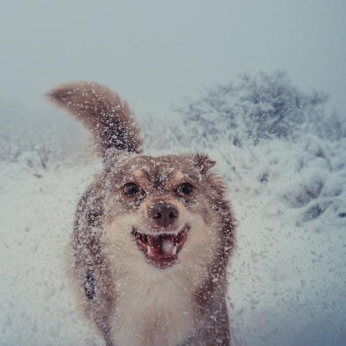 Photo #3817944