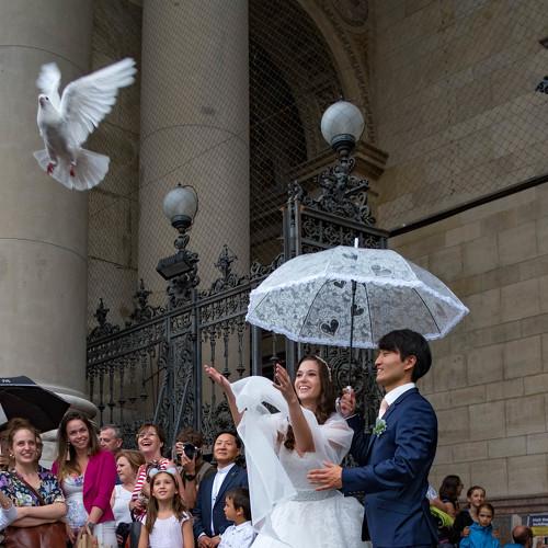 Photo #3818399