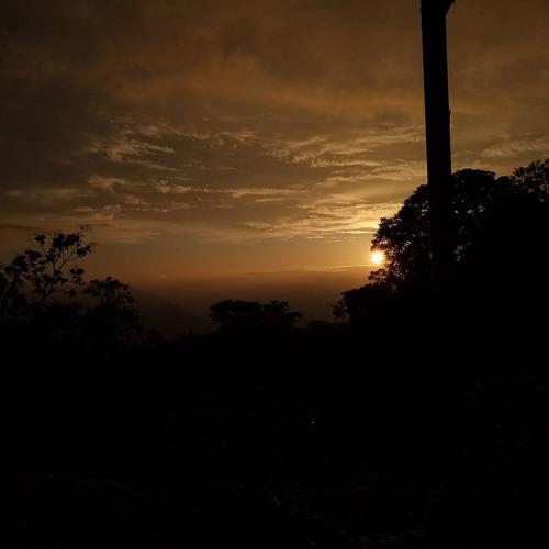 Photo #3818458