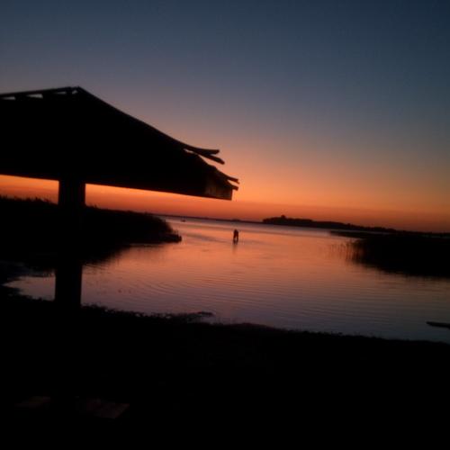 Photo #3818558
