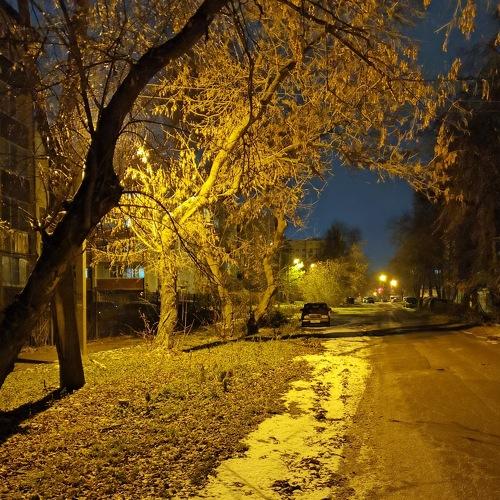 Photo #3818762