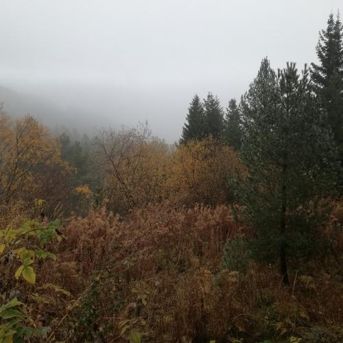 Photo #3819084