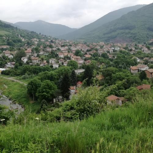 Photo #3819090