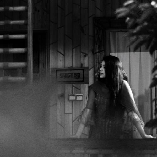 Photo #3819784