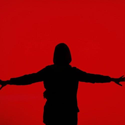 Photo #3819866