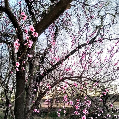 Photo #3820062