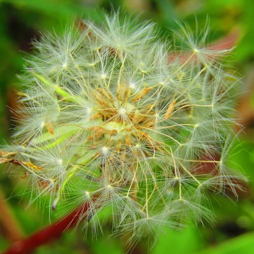 Photo #3820442