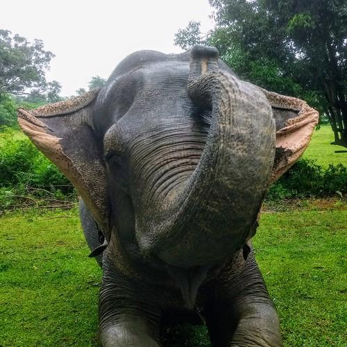 Photo #3820694