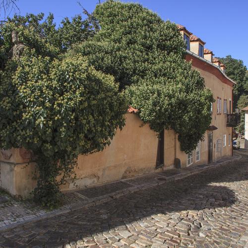Photo #3820818