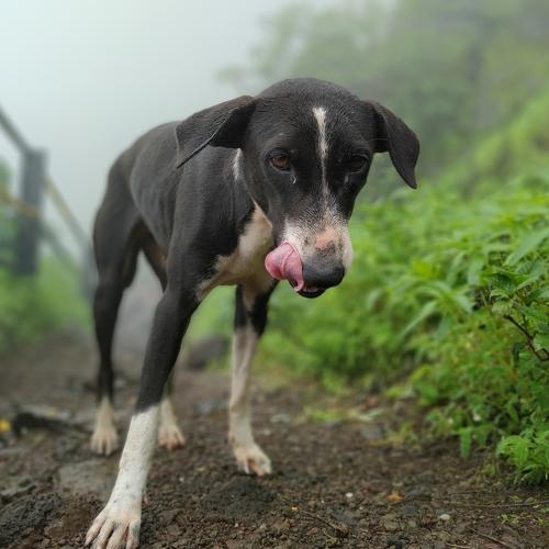 Photo #3821667