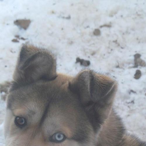 Photo #3821699
