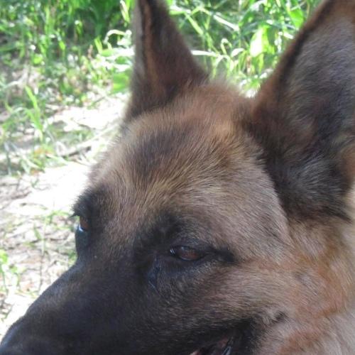 Photo #3821718