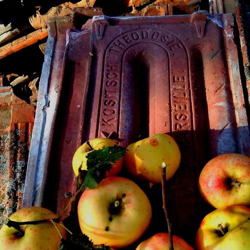 Photo #3822432