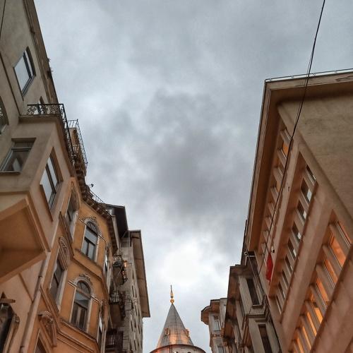 Photo #3822624