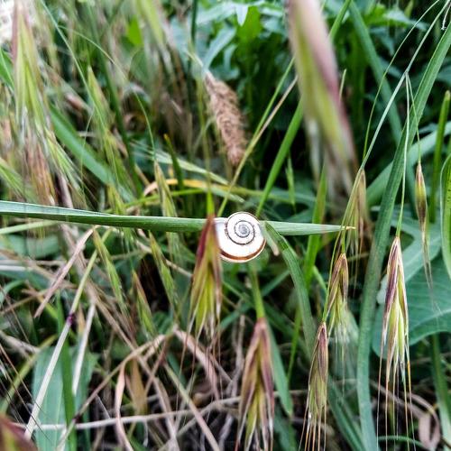 Photo #3822824