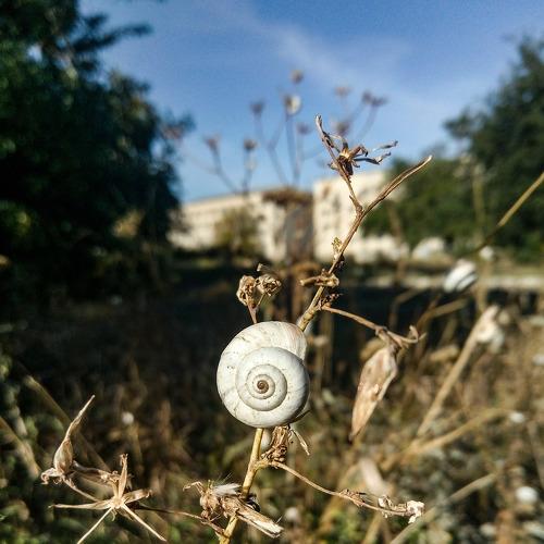 Photo #3822825