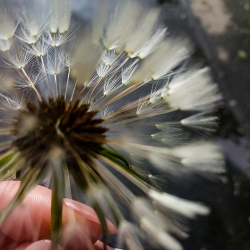 Photo #3822828