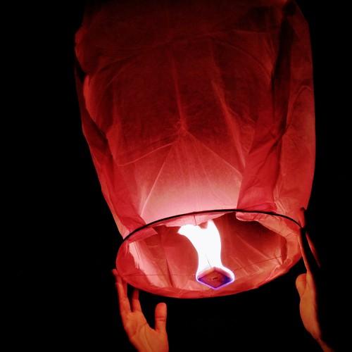 Photo #3823107