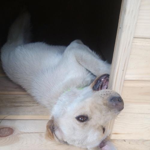 Photo #3823626