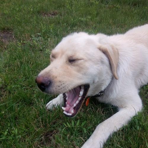 Photo #3823628