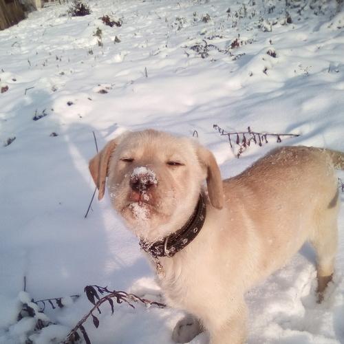 Photo #3823650