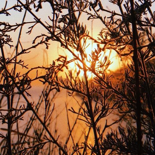Photo #3823815