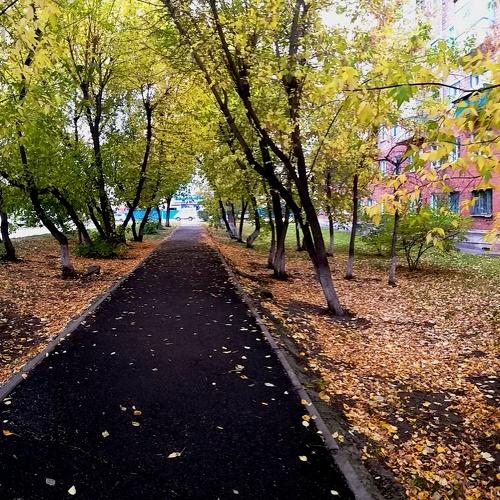 Photo #3823998