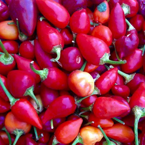Photo #3824050