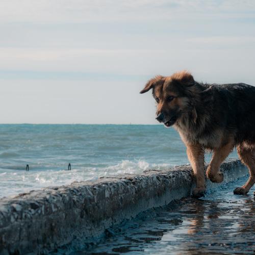 Photo #3824340