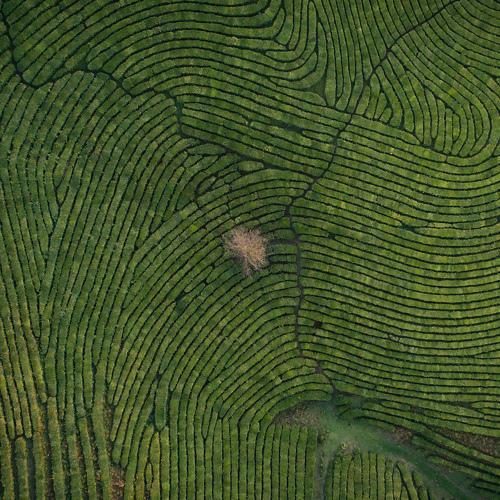 Photo #3824351