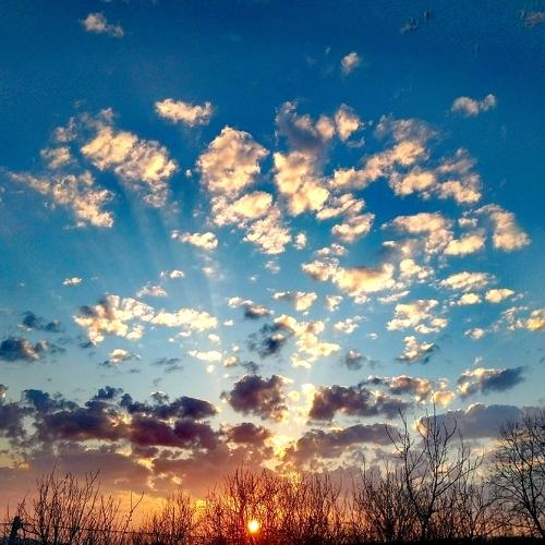 Photo #3825273