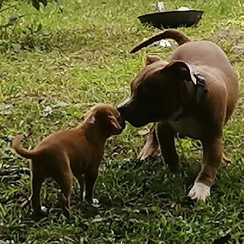 Photo #3825862