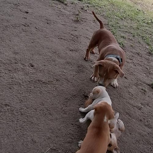 Photo #3825923