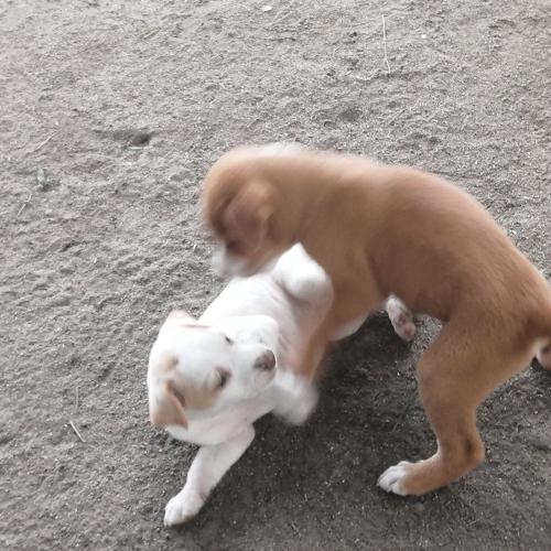 Photo #3825925