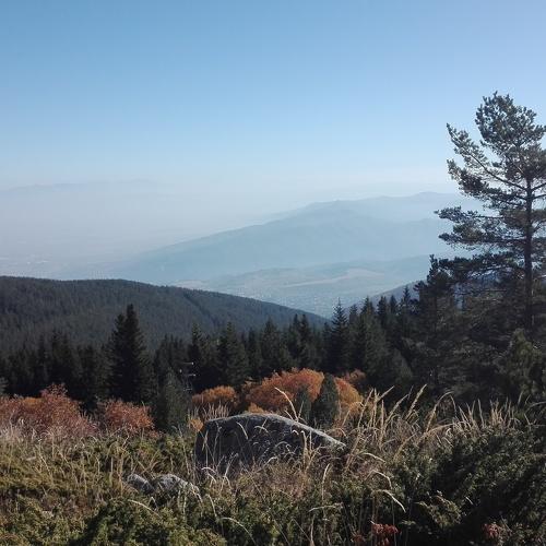 Photo #3826439