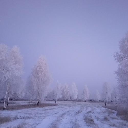 Photo #3826485