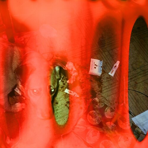 Photo #3826747