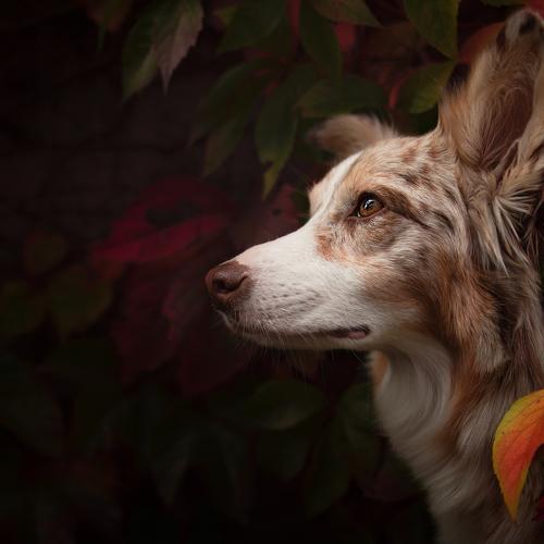 Photo #3826805