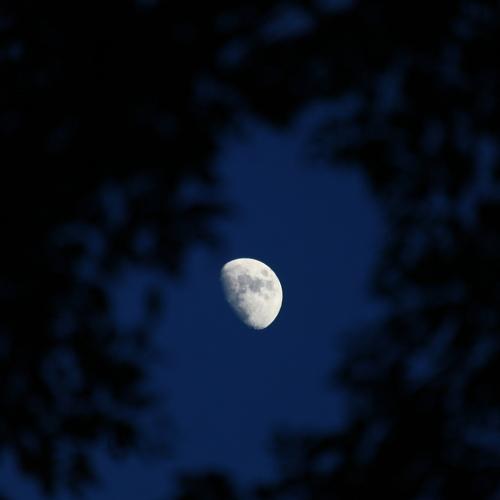 Photo #3828450