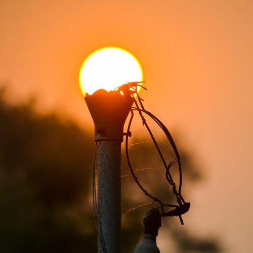 Photo #3829541