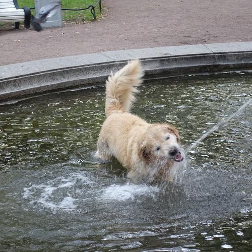 Photo #3830214