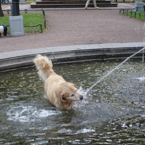 Photo #3830218