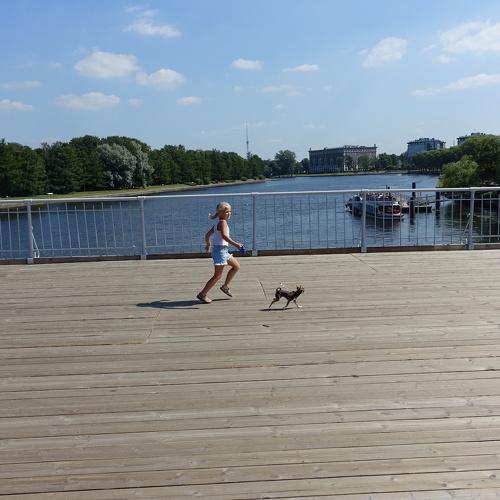 Photo #3830225