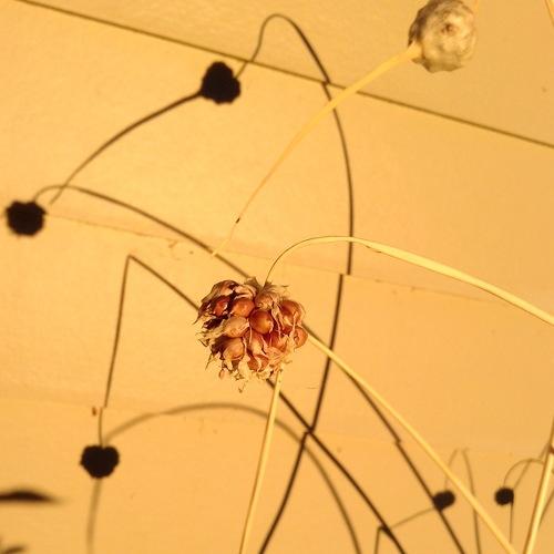 Photo #3830567