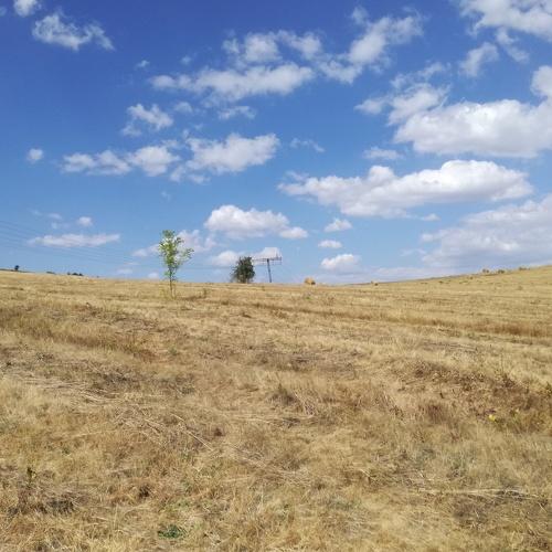 Photo #3830663