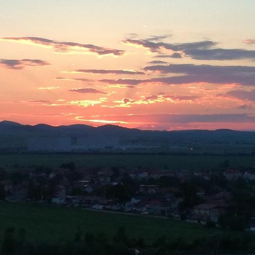Photo #3830674